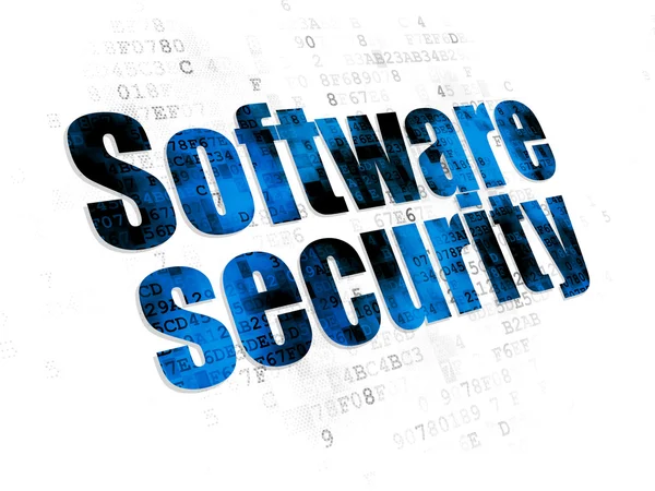 Säkerhetsbegreppet: programvarusäkerhet på digital bakgrund — Stockfoto
