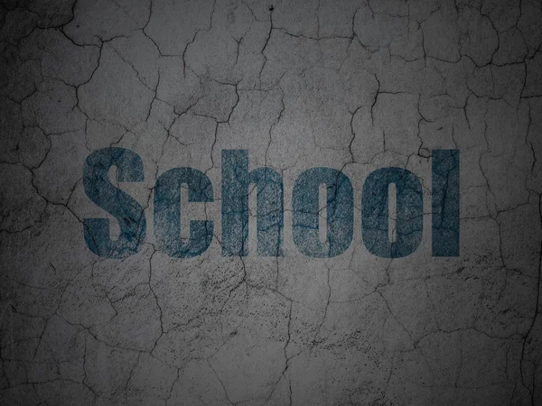 Studying concept: School on grunge wall background — Stock Fotó
