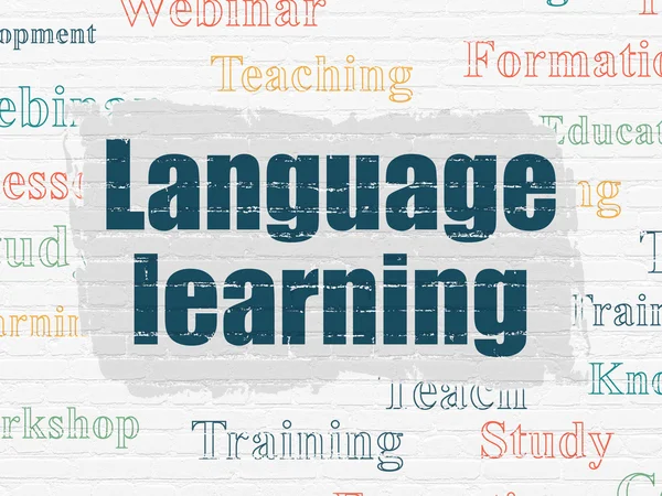 Education concept: Language Learning on wall background — Stock Photo, Image