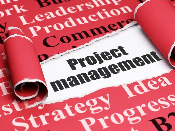 Concept de financement : texte noir Project Management sous le papier déchiré — Photo
