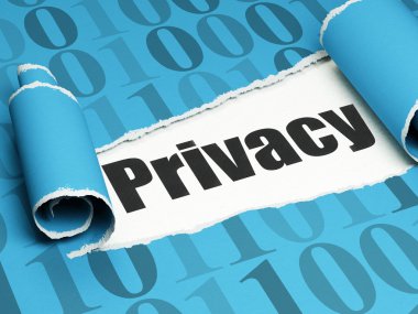 Protection concept: black text Privacy under the piece of  torn paper