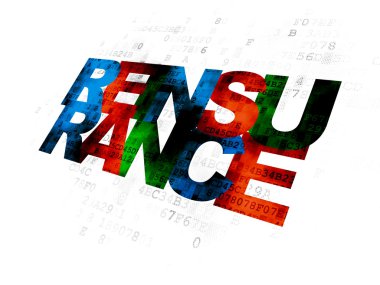 Insurance concept: Reinsurance on Digital background