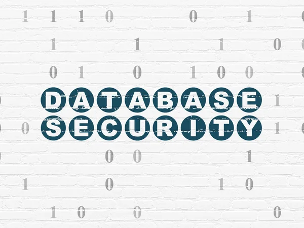 Privacy concept: Database Security on wall background — Stock Photo, Image