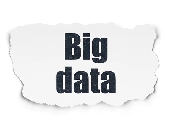 Informationskonzept: Big Data auf zerrissenem Papier — Stockfoto
