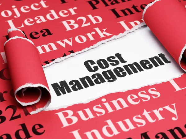 Finance concept: black text Cost Management under the piece of  torn paper — Stockfoto