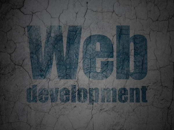 Web development concept: Web Development on grunge wall background — Stock Photo, Image