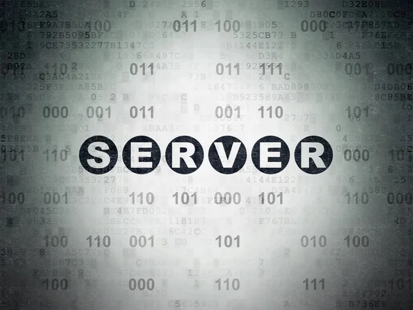 Web development concept: Server on Digital Paper background — Stock Photo, Image