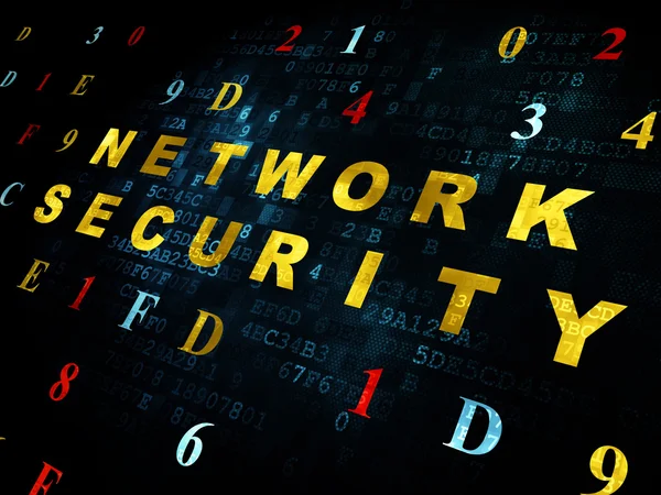 Protection concept: Network Security on Digital background — Stock Photo, Image