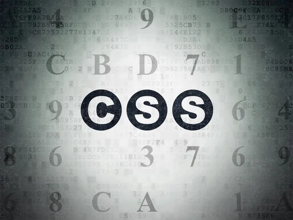 Software concept: Css on Digital Paper background — Stockfoto