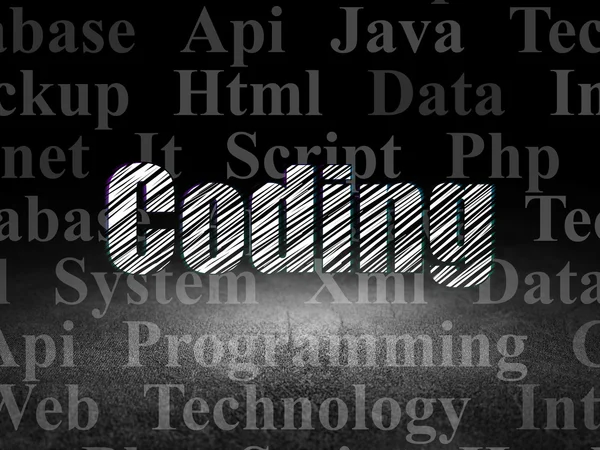 Concetto di software: codifica in camera oscura grunge — Foto Stock