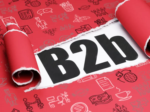 Concepto de negocio: texto negro B2b debajo del pedazo de papel roto — Foto de Stock