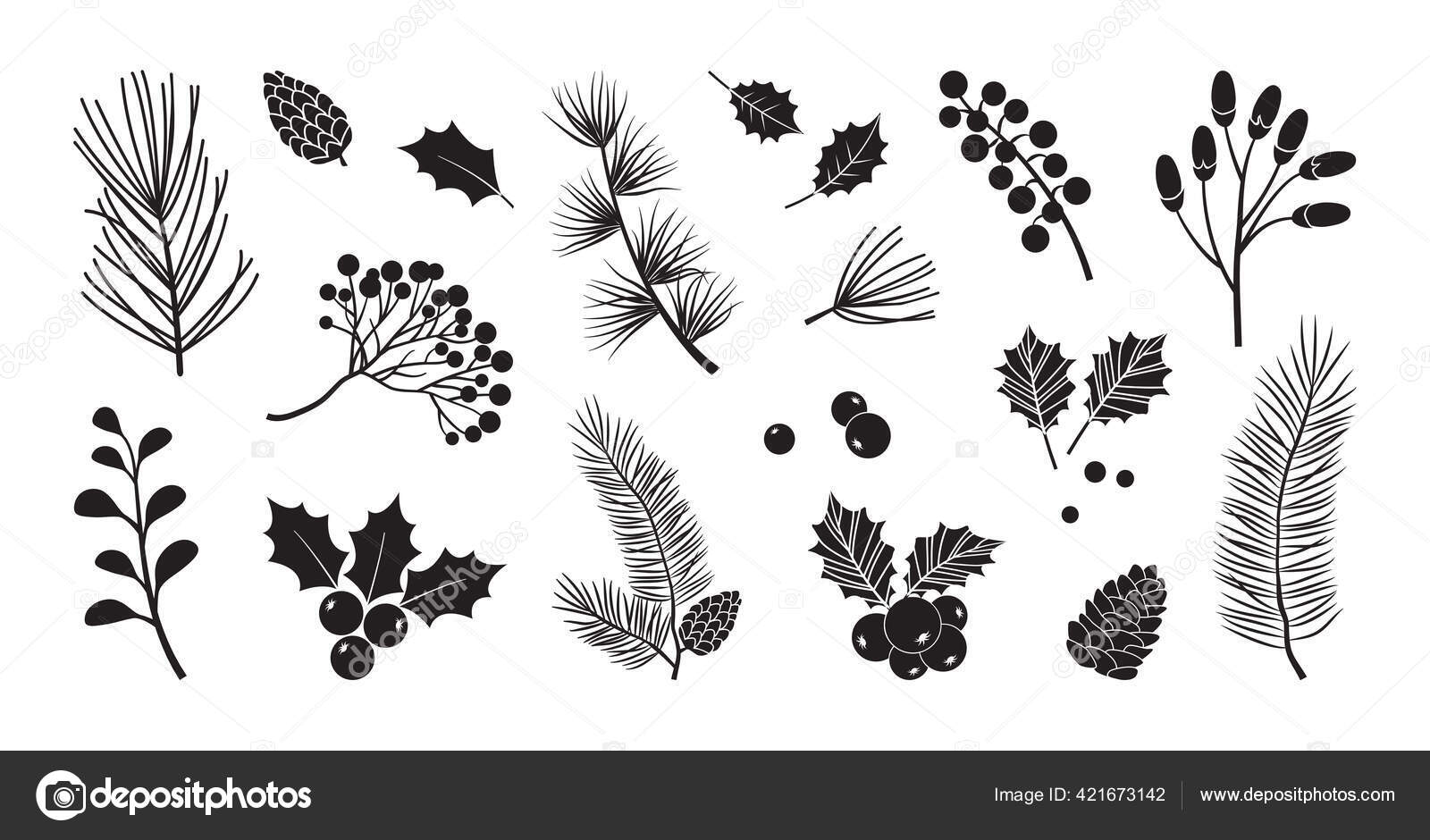 Christmas Branch Holly Twig Pine Stems Stock Vector (Royalty Free