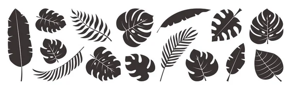 Conjunto Vetor Folhas Tropicais Desenho Doodle Folhas Palma Preta Isolado — Vetor de Stock
