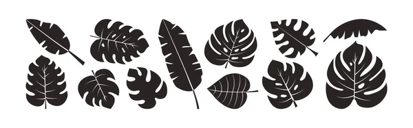 Ensemble Vecteur Feuilles Palmier Feuillage Été Jungle Exotique Silhouettes Noires — Image vectorielle