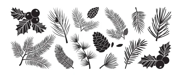 Ветви Вектора Елки Ели Сосны Вечнозеленый Набор Икона Ягоды Падуба — стоковый вектор
