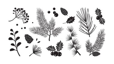 Noel vektör dalları, ağaç, köknar ve çam kozalakları, her zaman yeşil olan set, bayram dekorasyonu, siyah kış bitkisi, beyaz arka planda izole edilmiş yaprak ve dal. Doğa çizimi