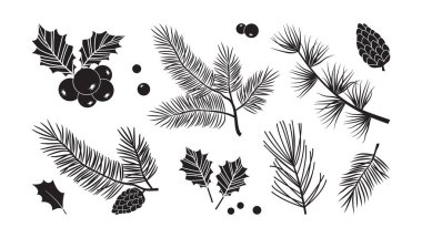 Noel ağacı dalları, köknar ve çam kozalakları, çoban üzümü, yemyeşil seti, bayram süsü, beyaz arka planda izole edilmiş kara kış yaprağı ve dal. Doğa çizimi