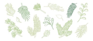 Winter plant line icon. Pine, fir, leaf branch, Christmas tree outline design. Spruce needle and evergreen set hand drawn, cedar twig, Xmas decoration isolated on bg. New Year vector illustration