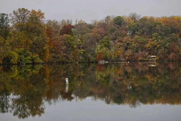 Blick Auf Den Rolandsee Mit Herbstbäumen Hintergrund Rolandpark Baltimore Maryland — Stockfoto
