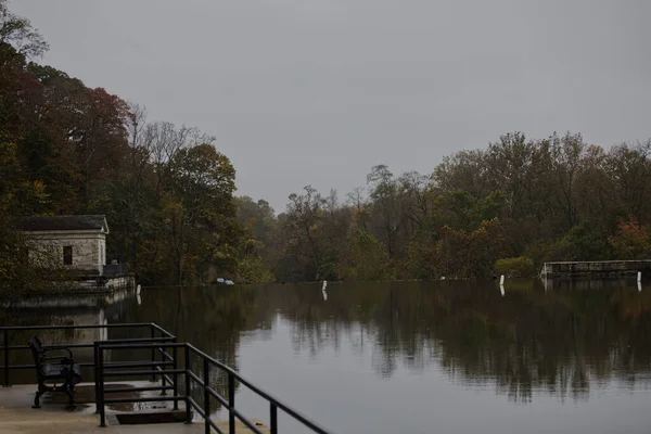 Seeblick Mit Herbstbäumen Lake Roland Park Baltimore Maryland Usa — Stockfoto