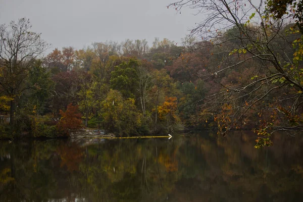 Вид Озеро Осенними Деревьями Озере Роланд Парк Балтимор Мэриленд Сша Стоковое Фото