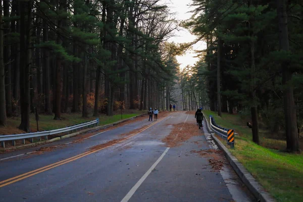 Loch Raven 'daki Boş Yol Baltimore Maryland ABD