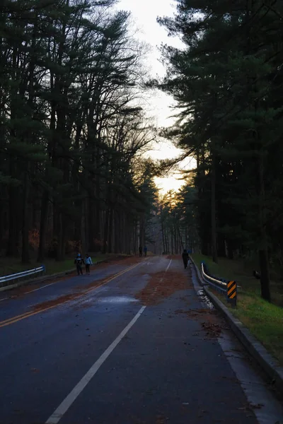 Loch Raven 'daki Boş Yol Baltimore Maryland ABD