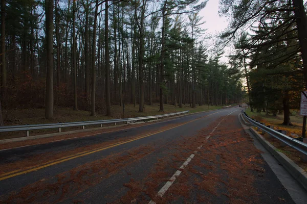 Loch Raven 'daki Boş Yol Baltimore Maryland ABD