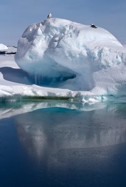 Pequeno iceberg na água perto das ilhas da Antártida estão sentados — Fotografia de Stock