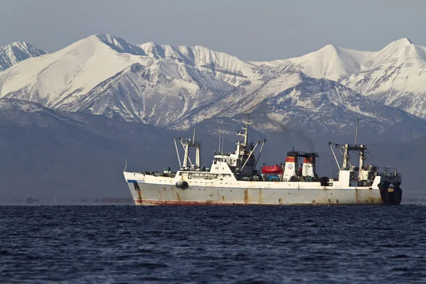 Barcos de pesca navegando en la bahía Avachinskaya en el fondo nevado — Foto de Stock