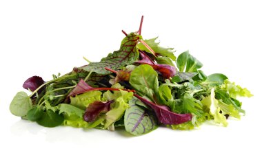 Taze salata. Farklı salata yaprakları karışımı