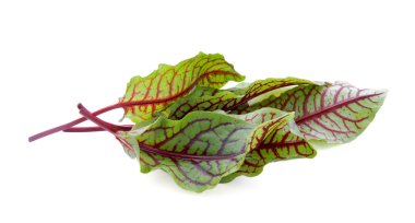 Taze salata. Beyaz arka plan üzerinde izole.
