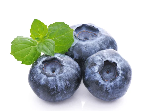 Blueberry.Healthy comer . — Fotografia de Stock