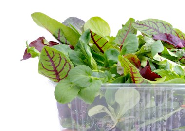 Taze ıspanak yaprakları, feldsalat, pazı, roka ve marul plastik ambalaj