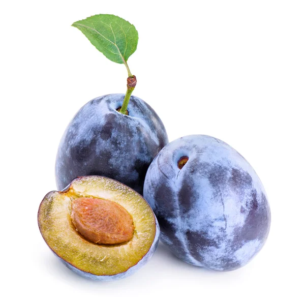 Plums isolated on white background. — Stock Photo, Image