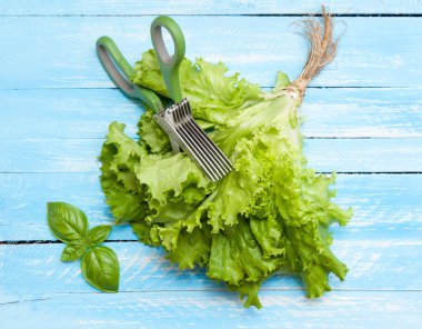 Green leaf of lettuce and basil.