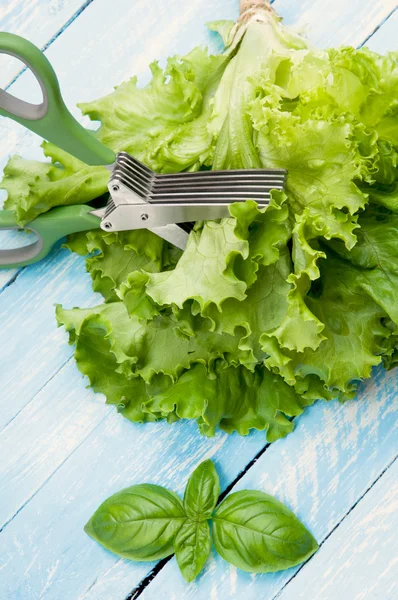 Green leaf of lettuce and basil. — Stock Photo, Image