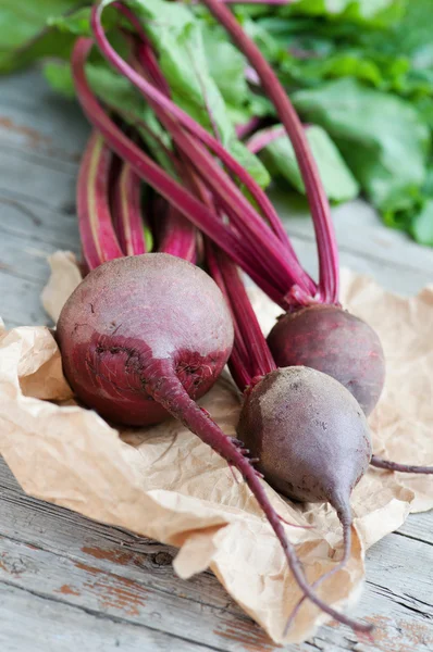 Fresh beetroot — ストック写真