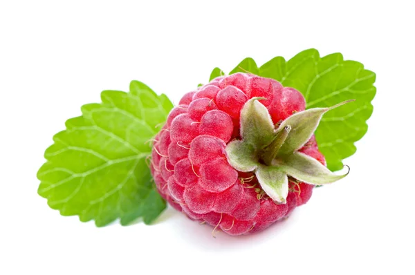 Raspberries isolated on white — Stock Photo, Image