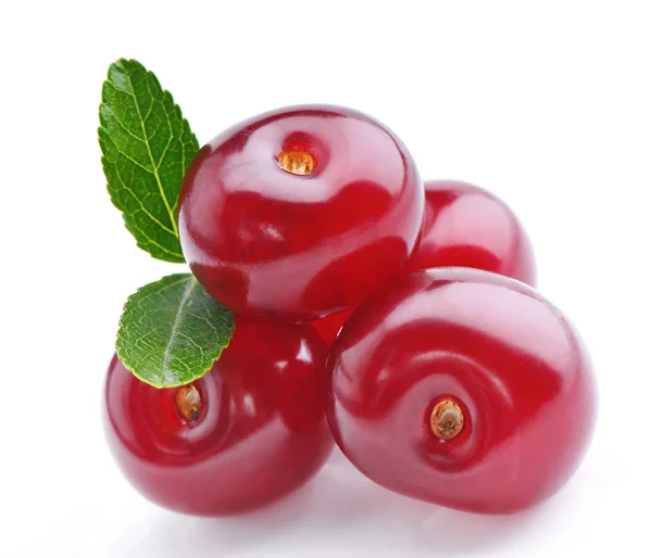 Sweet cherry. — Stock fotografie