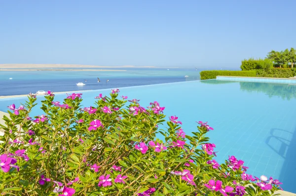 Luxe zwembad met uitzicht op zee Stockafbeelding
