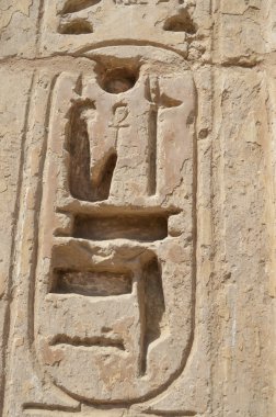 Mısır hiyeroglif oymalar duvar