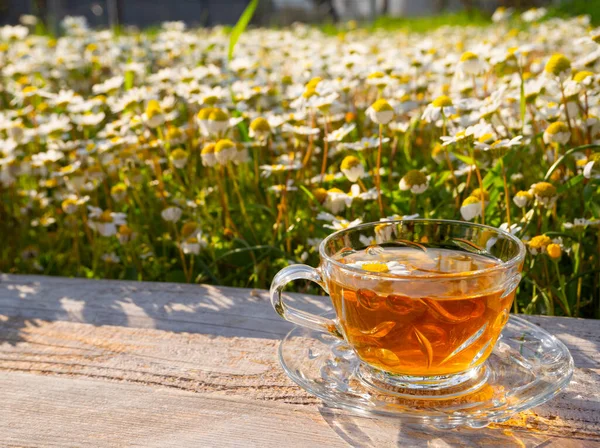 Beautiful glass teacup with chamomile tea on a wooden table among blooming daisies in the rays of the setting sun in Greece