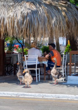 Methana, Moreloponese, Yunanistan. Haziran 2021: Yunanistan 'ın Mora kentindeki tatil beldesi Methana' da bir yaz gününde, turistler, tatilciler ve kaz dilenen taverna