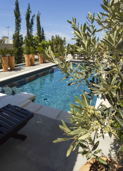 Swimming Pool Gorgeous View Apartment Sunny Hot Day Athens Greece — стоковое фото