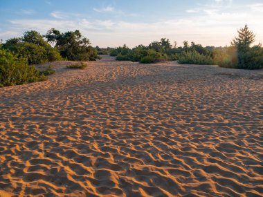 Yunanistan 'ın Korission Gölü' ndeki Büyük Kumlu Issos Sahili 'nde güneş batarken Korfu Adası' nda