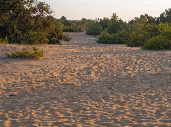 Yunanistan 'ın Korission Gölü' ndeki Büyük Kumlu Issos Sahili 'nde güneş batarken Korfu Adası' nda