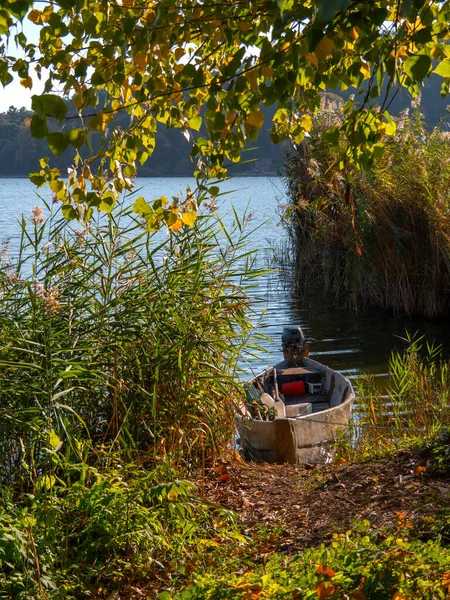 Yunanistan 'ın Ioannina kentindeki Pamvotida Gölü üzerindeki sazlıklarda eski ahşap balıkçı tekneleri