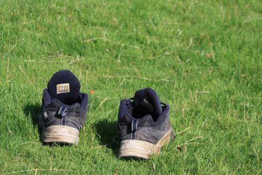 Çift yeşil çimenlerin üzerinde mavi spor ayakkabı