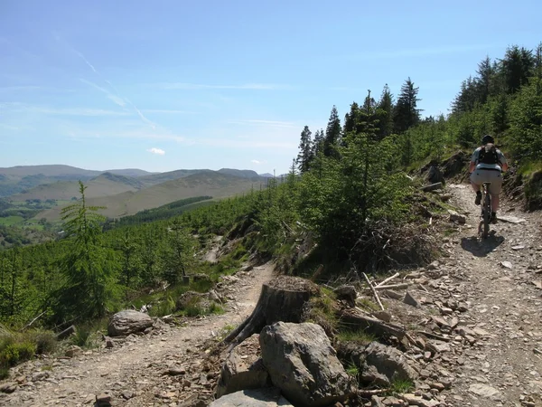 Un sentier ou un sentier couvert de rochers sur le flanc d'une montagne — Photo
